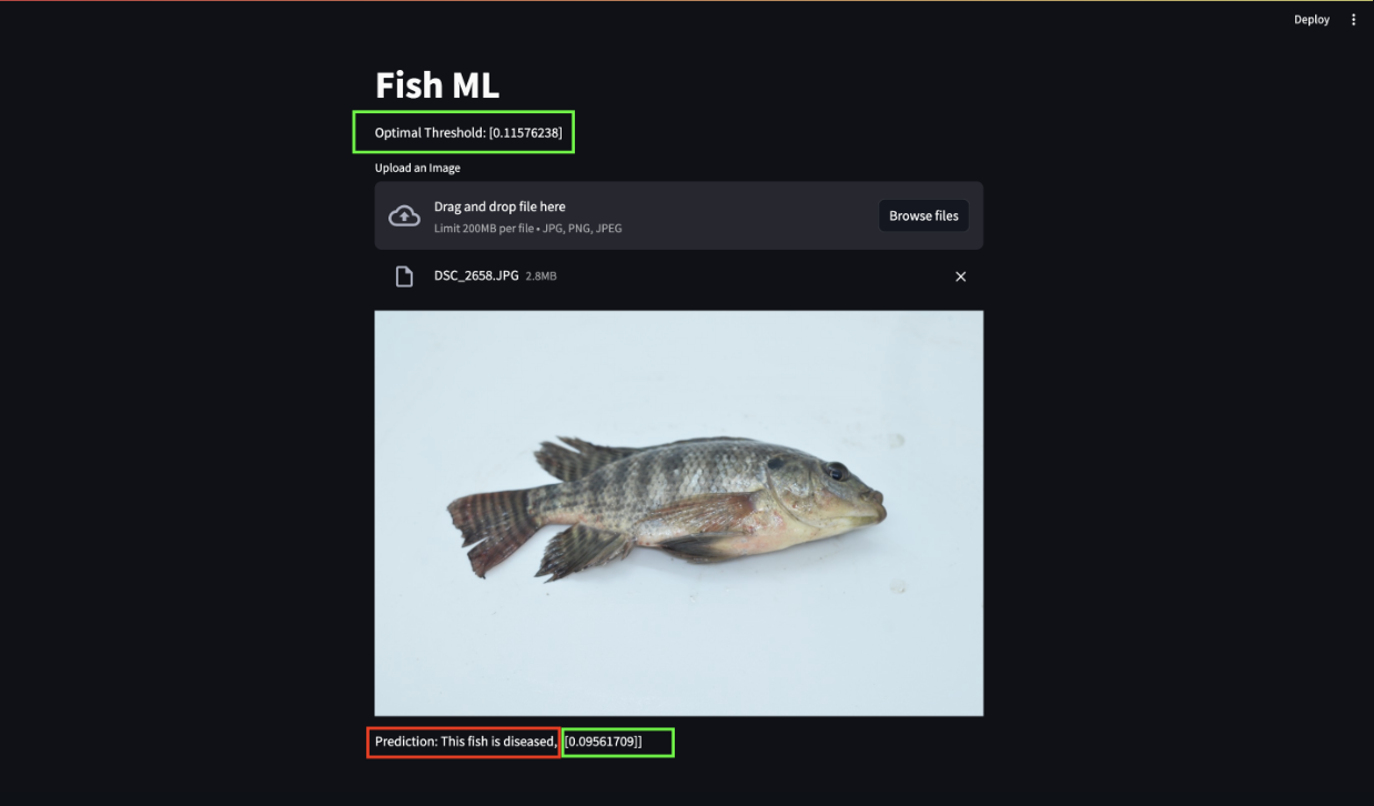 FishML project